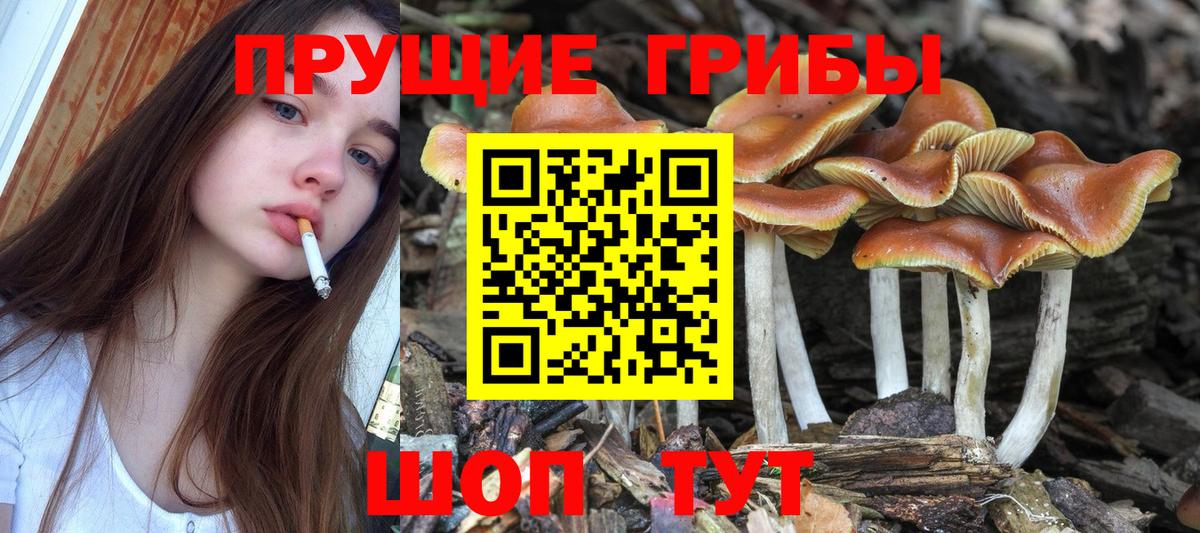 Галлюциногенные грибы Cubensis  Вход с VPN  Уссурийск 